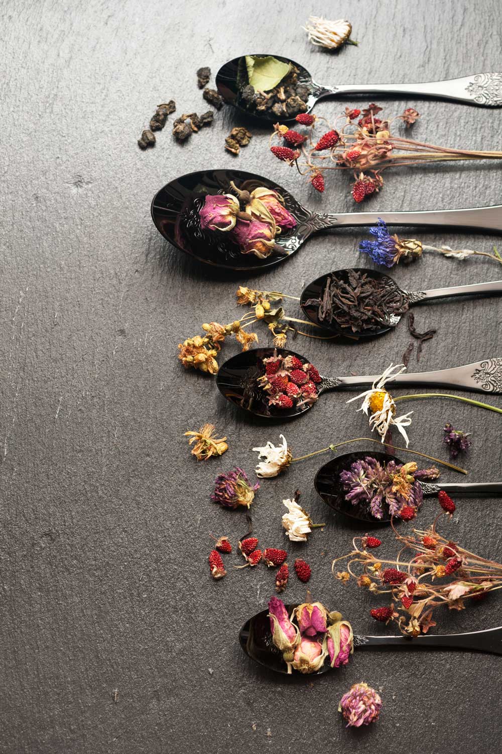 Gabrielle Kater L.Ac. - Boulder CO | Acupuncture & Herbal Medicine